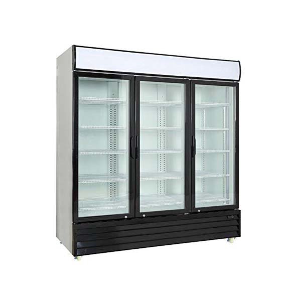 DISPLAY CHILLER DOUBLE  DOOR LC-1000 - BEVERAGE (VISI) COOLERS Kenya