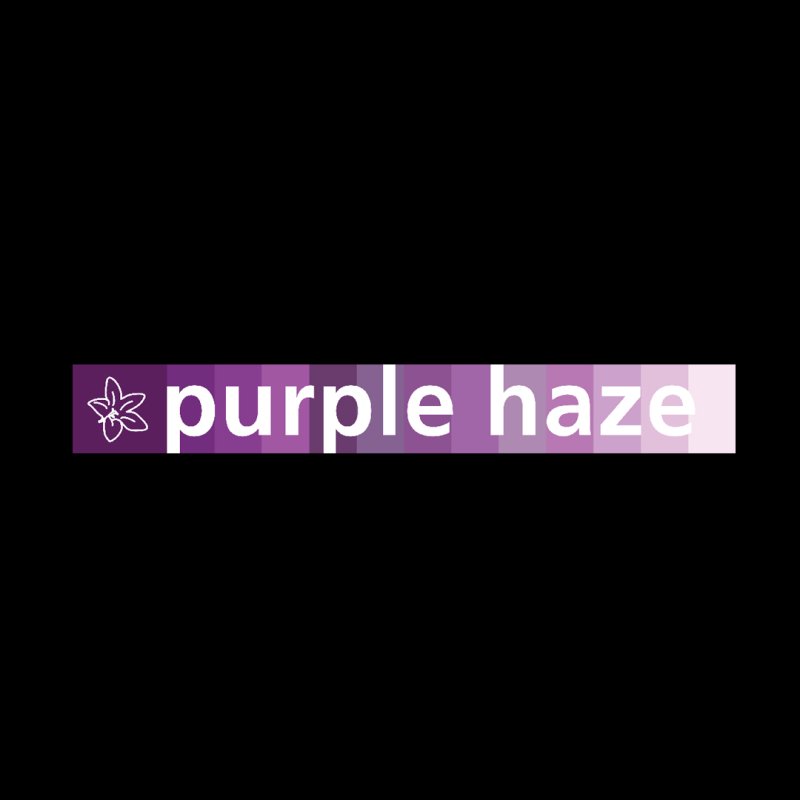 Purple Haze Apartments Kilimani