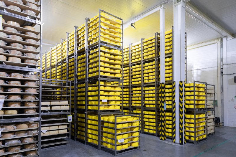 Cold Room Solutions for Packhouses: Freshness Preserved, Quality Assured