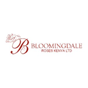 Bloomingdale Roses (K) Limited