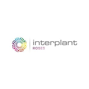 Interplant Roses (EA) Limited