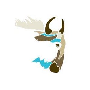 Wildebeest Travels Limited